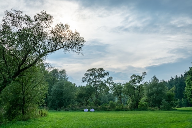 Bela paisagem fotografada de uma área de grama verde cercada por árvores sob um céu azul tranquilo