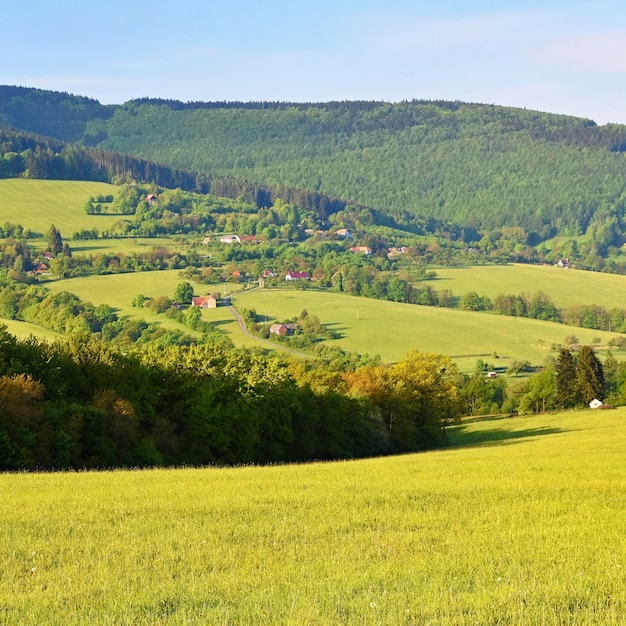 Bela paisagem nas montanhas no verão. República Checa - os Cárpatos Brancos - Europa.