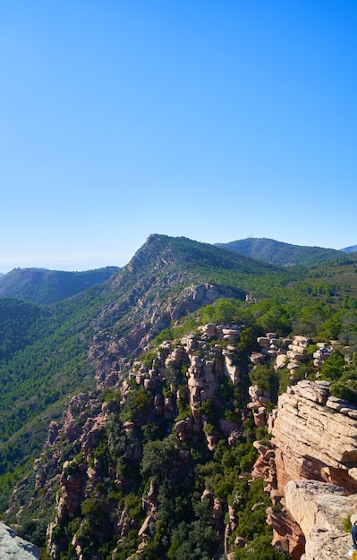 Foto grátis bela paisagem natural com penhascos rochosos cercados por vegetação sob um céu claro