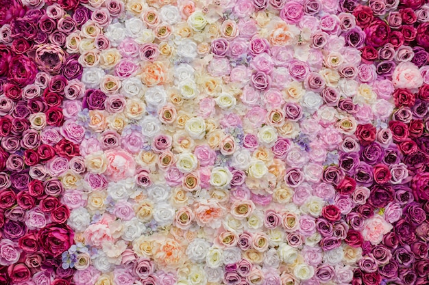 Bela parede decorada com rosas