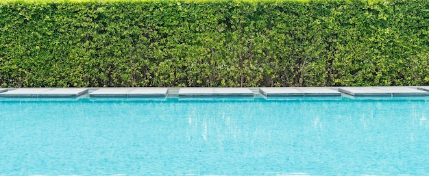 Bela piscina de luxo com palmeira