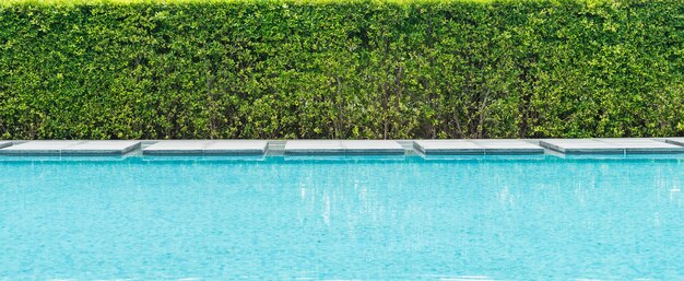 Bela piscina de luxo com palmeira