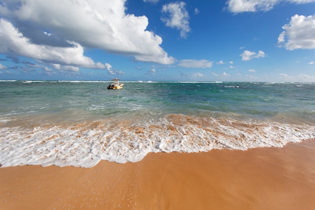 Bela praia do caribe