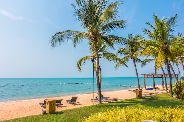 Bela praia e mar com palmeira