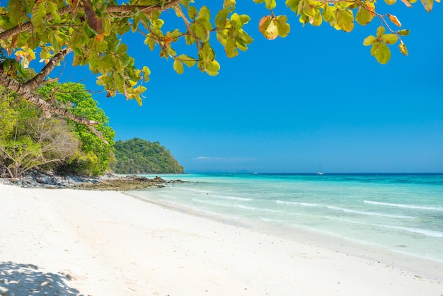 Bela praia na ilha tropical com areia branca, árvores verdes e sem pessoas