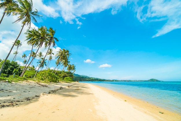 Bela praia tropical e mar com coqueiro na ilha paradisíaca