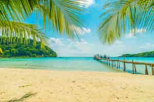 Foto grátis bela praia tropical e mar com coqueiro na ilha paradisíaca
