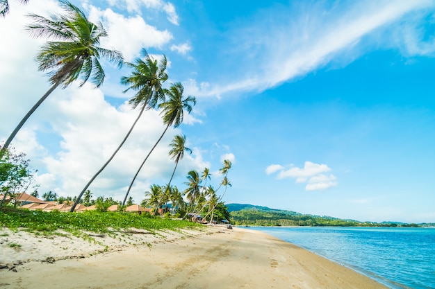 Bela praia tropical e mar com palmeira de coco