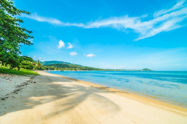 Bela praia tropical e mar com palmeira de coco