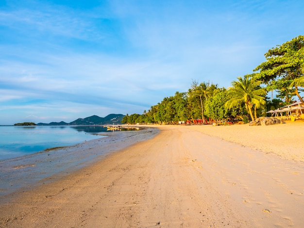 Bela praia tropical e mar com palmeira de coco