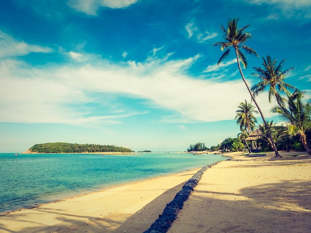 Bela praia tropical e mar com palmeira de coco