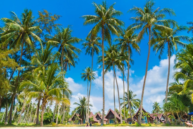 Bela praia tropical e mar