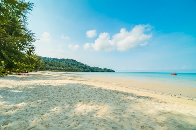 Bela praia tropical e mar