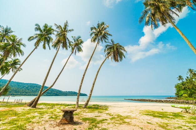 Bela praia tropical e mar