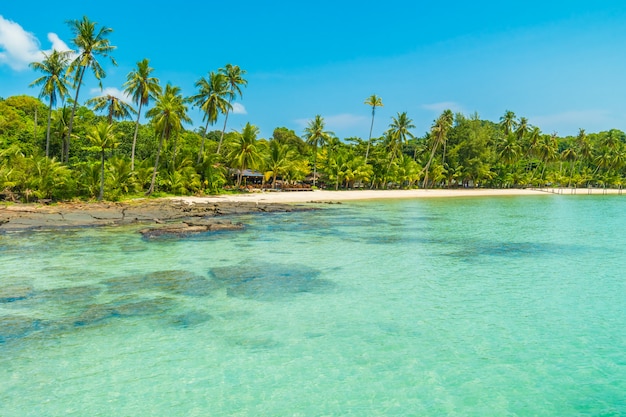 Bela praia tropical e mar