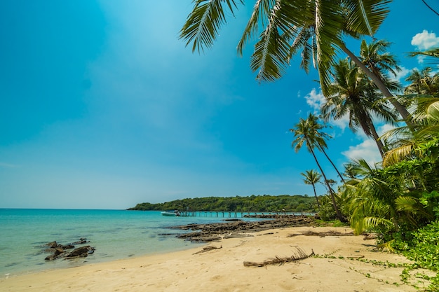 Bela praia tropical e mar