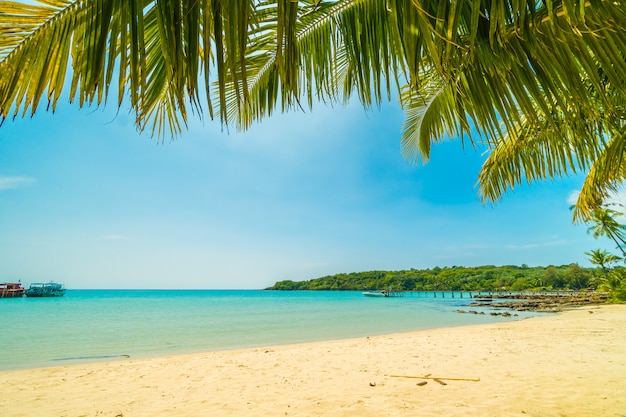 Foto grátis bela praia tropical e mar