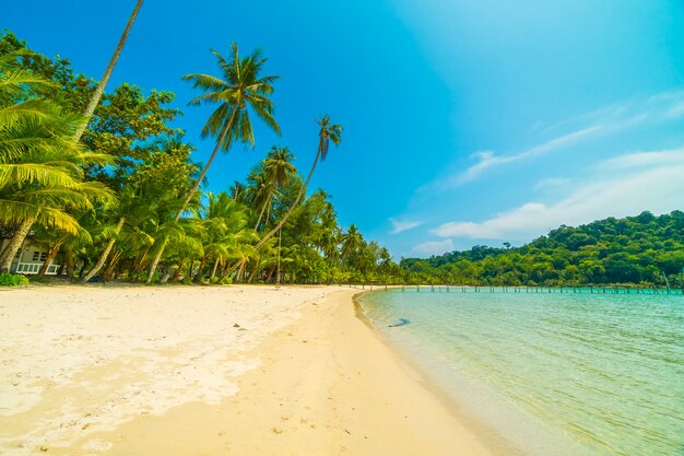 Bela praia tropical e mar