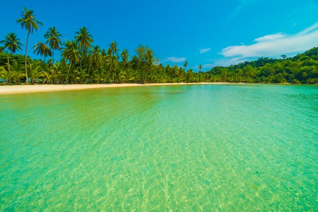 Bela praia tropical e mar