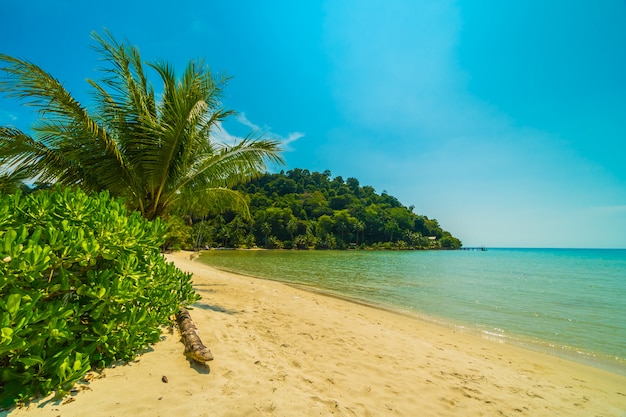 Bela praia tropical e mar