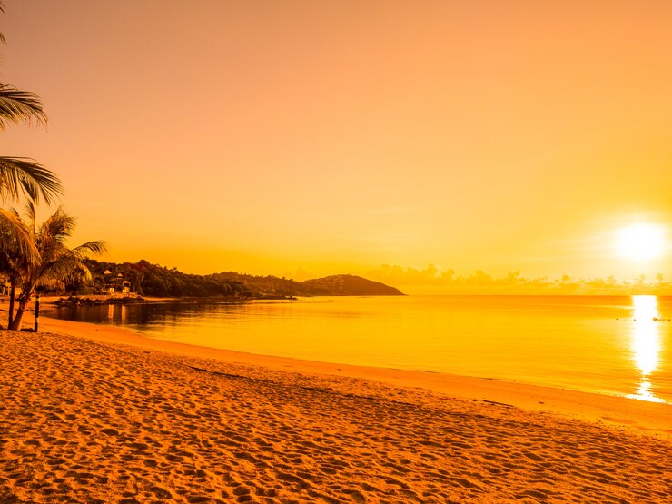 Foto grátis bela praia tropical mar e mar com palmeira de coco na hora do nascer do sol