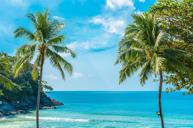 Bela praia tropical, mar, oceano, com coco e outras árvores ao redor de uma nuvem branca no céu azul