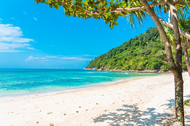 Bela praia tropical, mar, oceano, com coco e outras árvores ao redor de uma nuvem branca no céu azul
