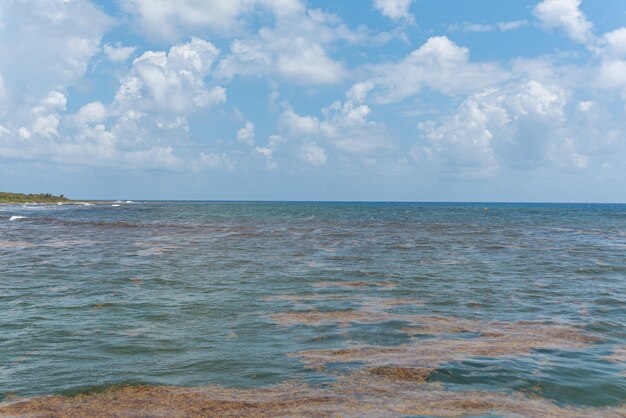 Bela praia tropical num dia ensolarado