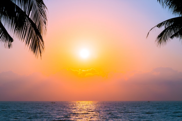 Bela silhueta coqueiro no céu neary mar oceano praia no pôr do sol ou nascer do sol