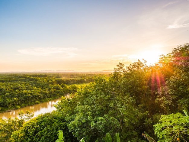 Bela vista aérea com paisagem verde floresta no crepúsculo