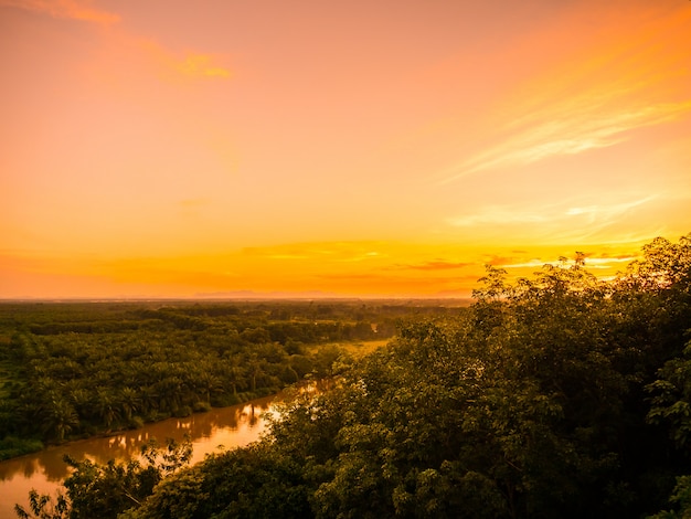 Bela vista aérea com paisagem verde floresta no crepúsculo