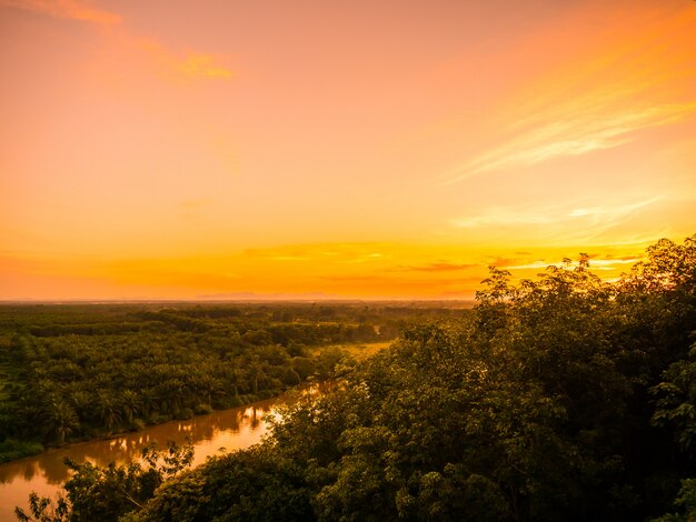 Bela vista aérea com paisagem verde floresta no crepúsculo