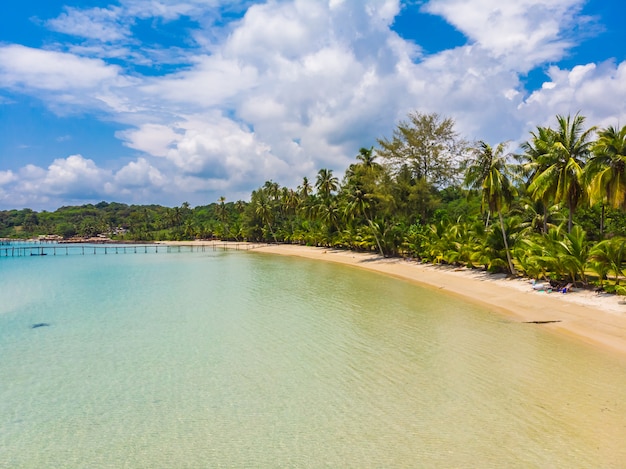 Bela vista aérea da praia e do mar com palmeira de coco