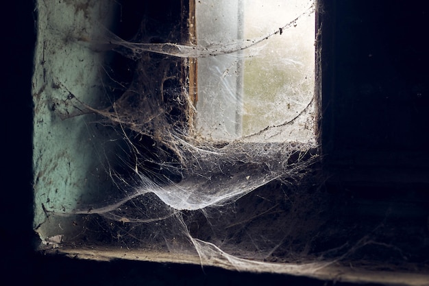 Foto grátis bela vista da janela coberta de teias de aranha em um antigo prédio abandonado