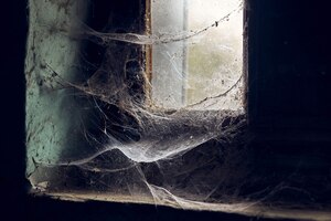 Bela vista da janela coberta de teias de aranha em um antigo prédio abandonado