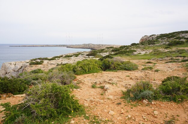 Bela vista da margem de um lago coberto de grama sob o céu azul