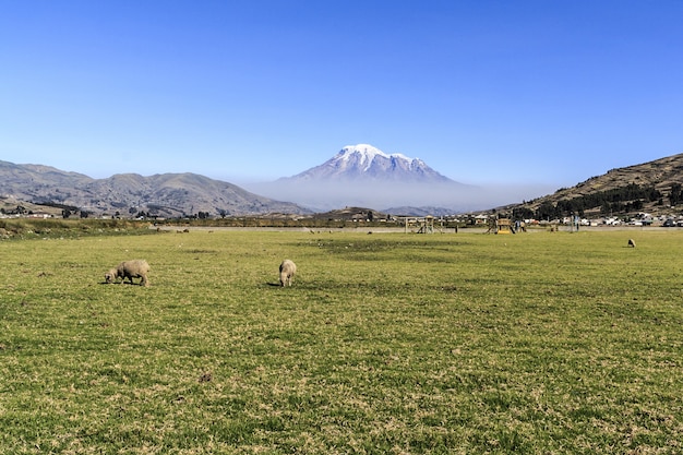 Bela vista da montanha chimborazo no equador durante o dia