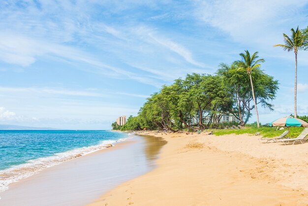 Bela vista da natureza com palmeiras e céu azul claro em uma ilha paradisíaca tropical