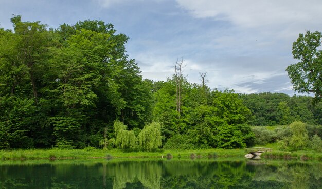 Bela vista da natureza exuberante e seu reflexo na água no Parque Maksimir em Zagreb, Croácia