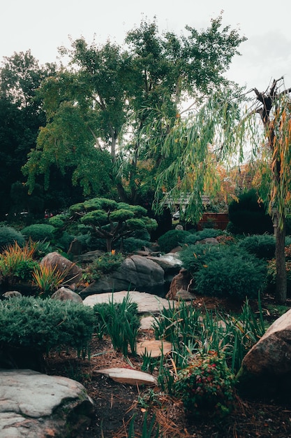 Bela vista da natureza hipnotizante nos jardins japoneses de Adelaide Himeji de estilo tradicional