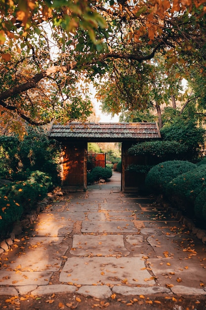 Foto grátis bela vista da natureza hipnotizante nos jardins japoneses de adelaide himeji de estilo tradicional