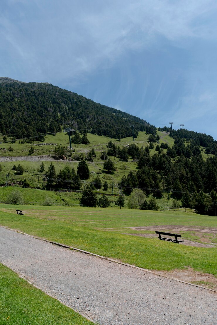 Foto grátis bela vista da natureza