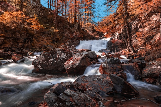 Bela vista da paisagem de outono e uma cachoeira em uma floresta