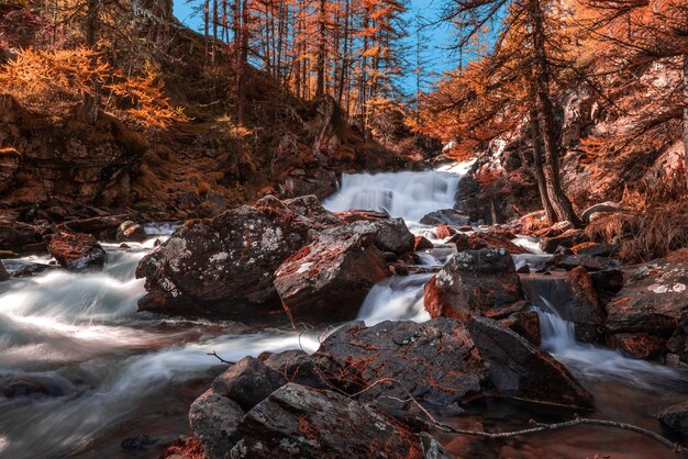 Bela vista da paisagem de outono e uma cachoeira em uma floresta