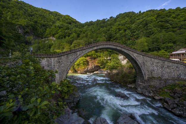 Foto grátis bela vista da ponte capturada na aldeia arhavi kucukkoy, turquia