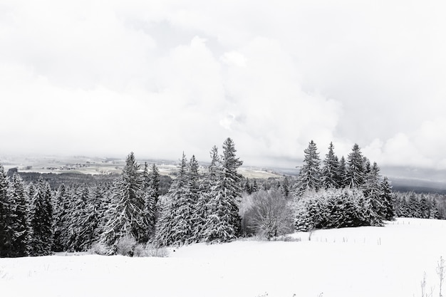 Bela vista das montanhas nevadas em um dia de nevoeiro