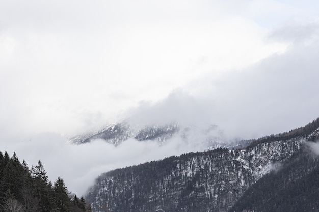 Bela vista das montanhas nevadas em um dia de nevoeiro