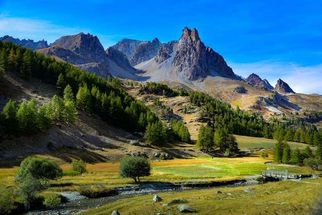 Bela vista das montanhas rochosas com árvores