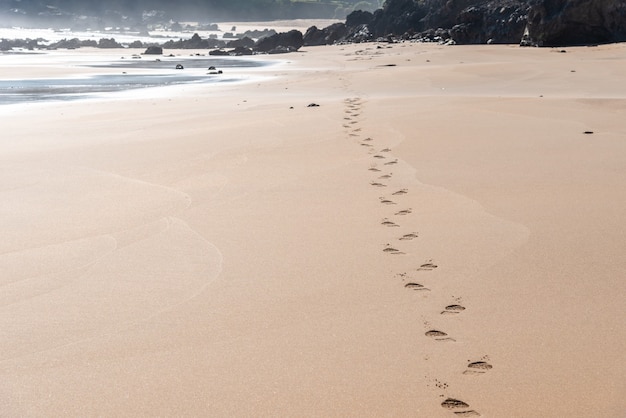 Foto grátis bela vista das pegadas na areia da praia perto da costa com pedras ao fundo