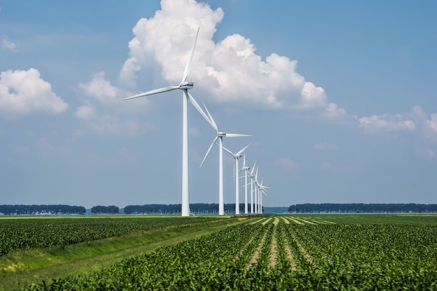 Bela vista das turbinas eólicas em um campo coberto de grama capturado na Holanda